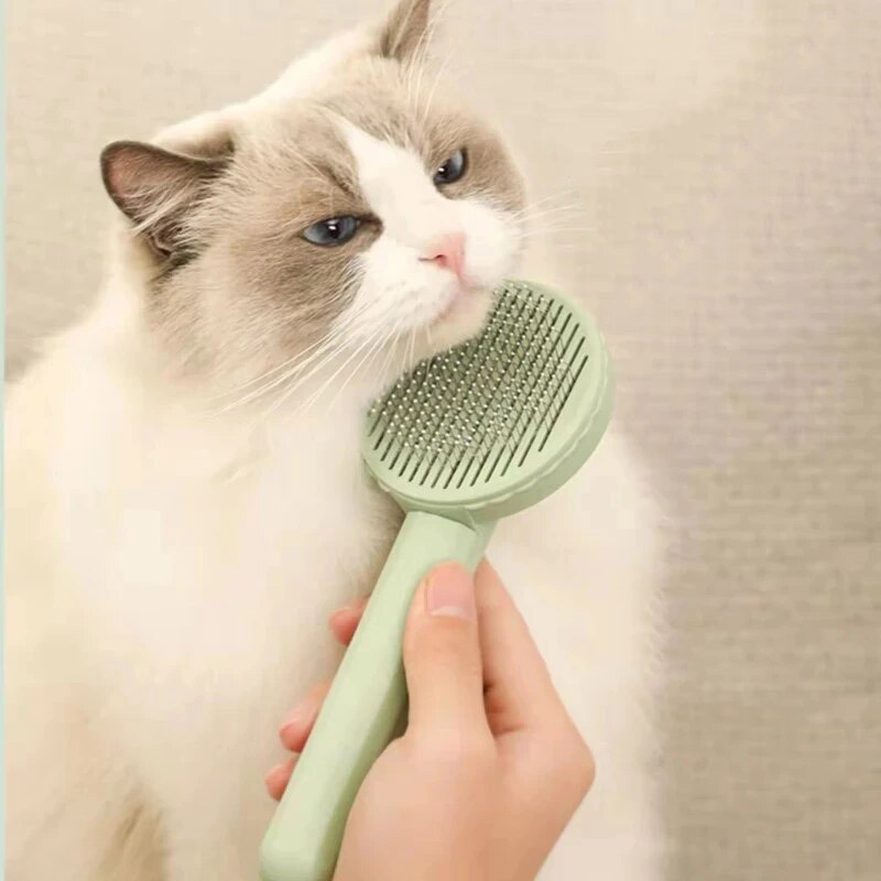 brosse-a-poils-3.jpg