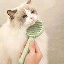 brosse-a-poils-3.jpg